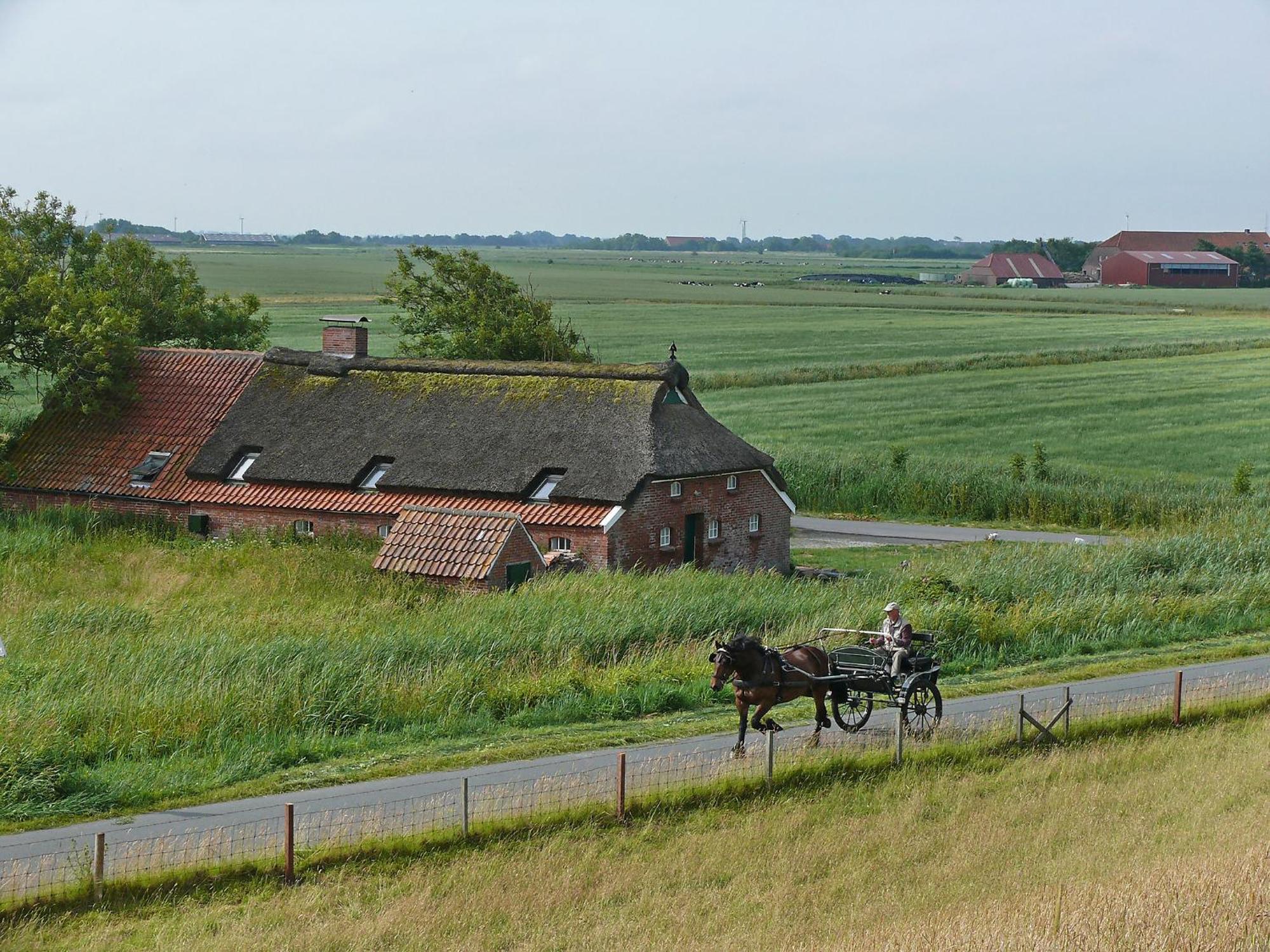 Holiday Home Itzendorfer Rott-2 By Interhome Norddeich  Exterior photo